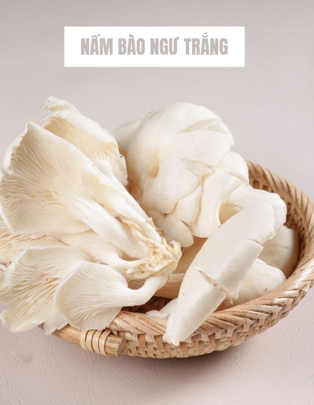 Tất tần tật về nấm bào ngư trắng: Giá trị dinh dưỡng, công dụng và cách bảo quản