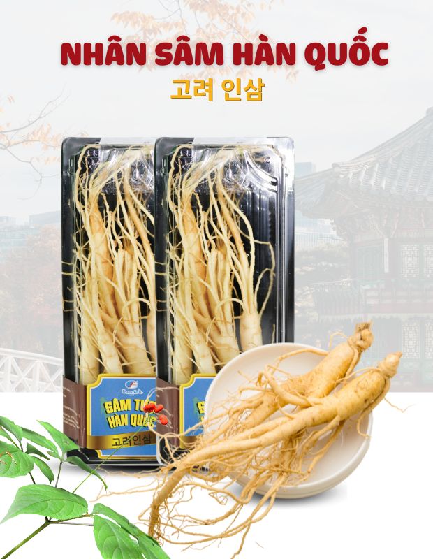 Tìm hiểu về sâm tươi Hàn Quốc: Từ A đến Z