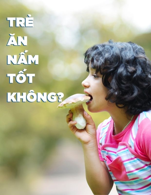 Trẻ ăn nấm có tốt không? Giải đáp mọi thắc mắc của mẹ