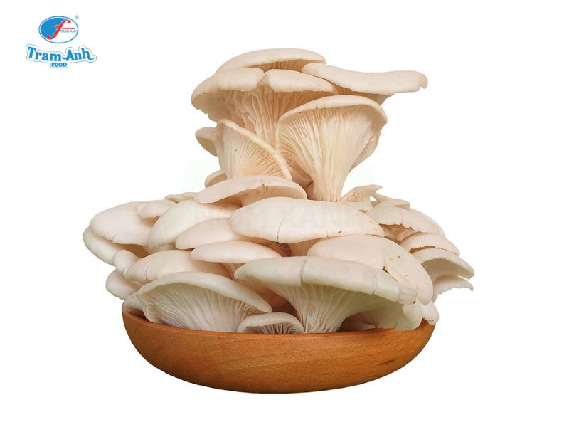 Nấm bào ngư trắng Trâm Anh Food