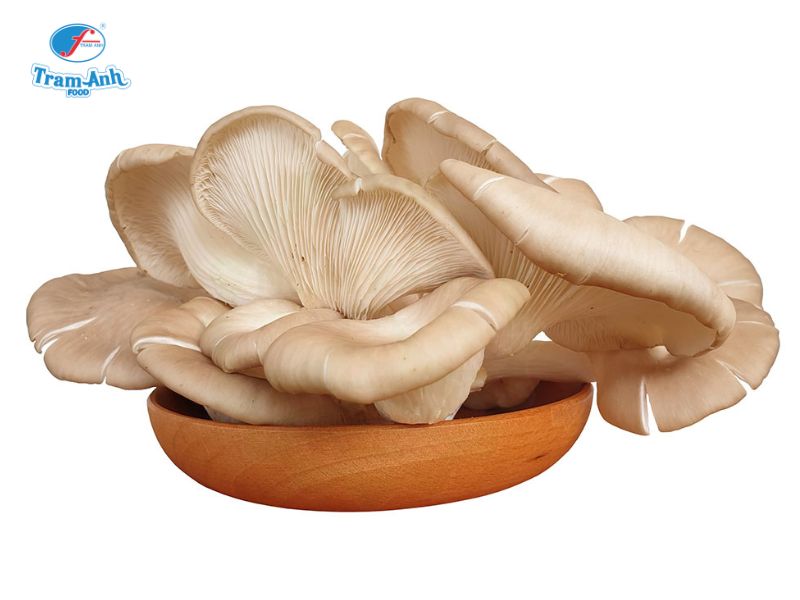 Nấm bào ngư xám Trâm Anh Food