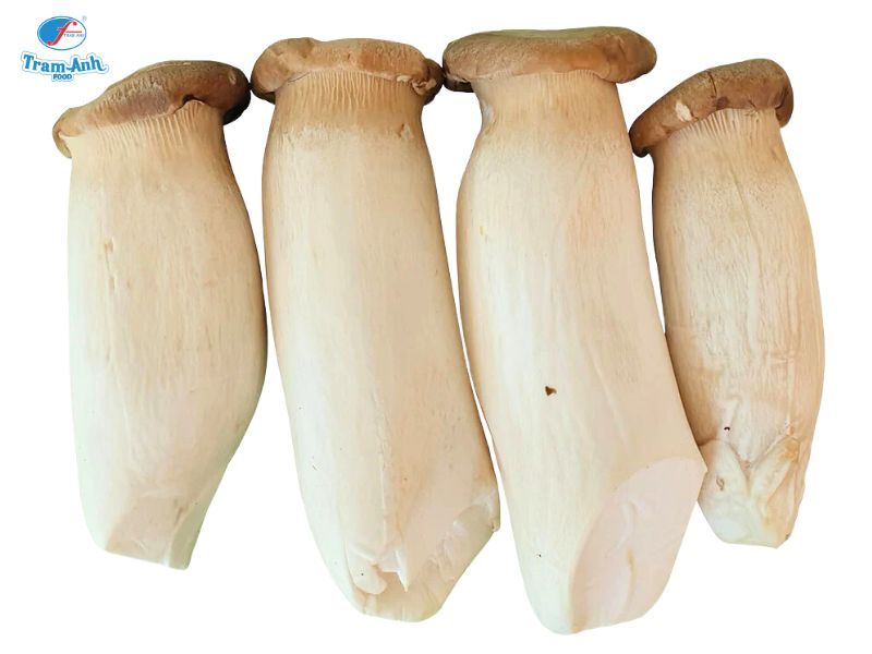 Nấm đùi gà Việt Nam
