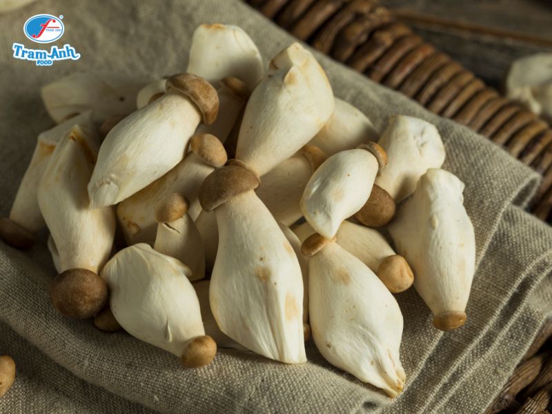 nấm đùi gà baby