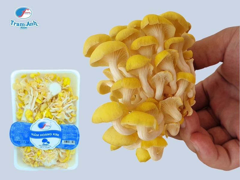 Nấm Hoàng Kim tươi Trâm Anh Food
