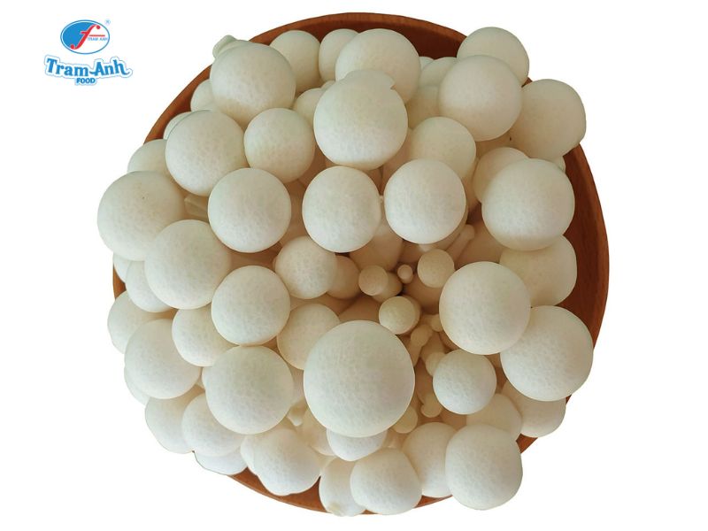 Nấm Linh Chi Trắng tươi