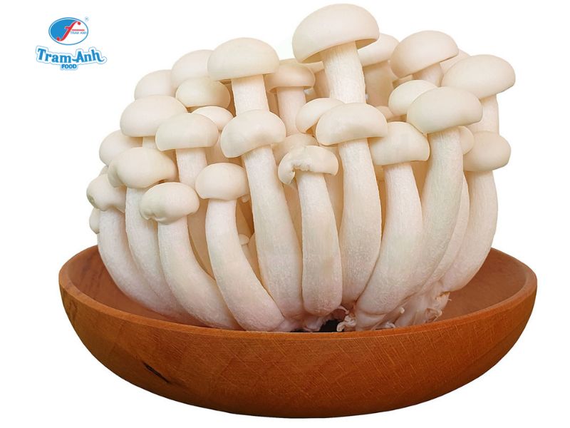 Nấm Linh Chi Trắng tươi