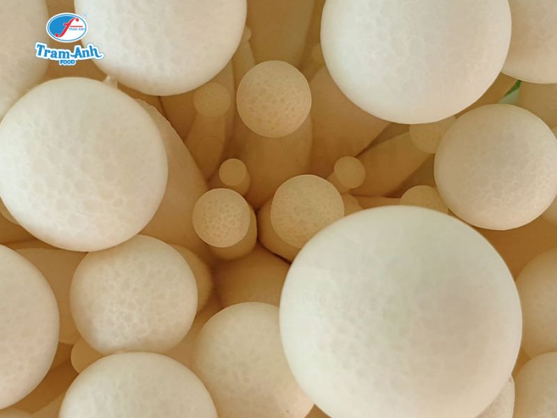 Nấm Linh Chi Trắng tươi