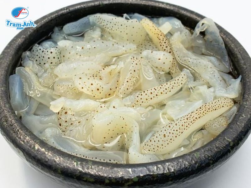 sứa biển