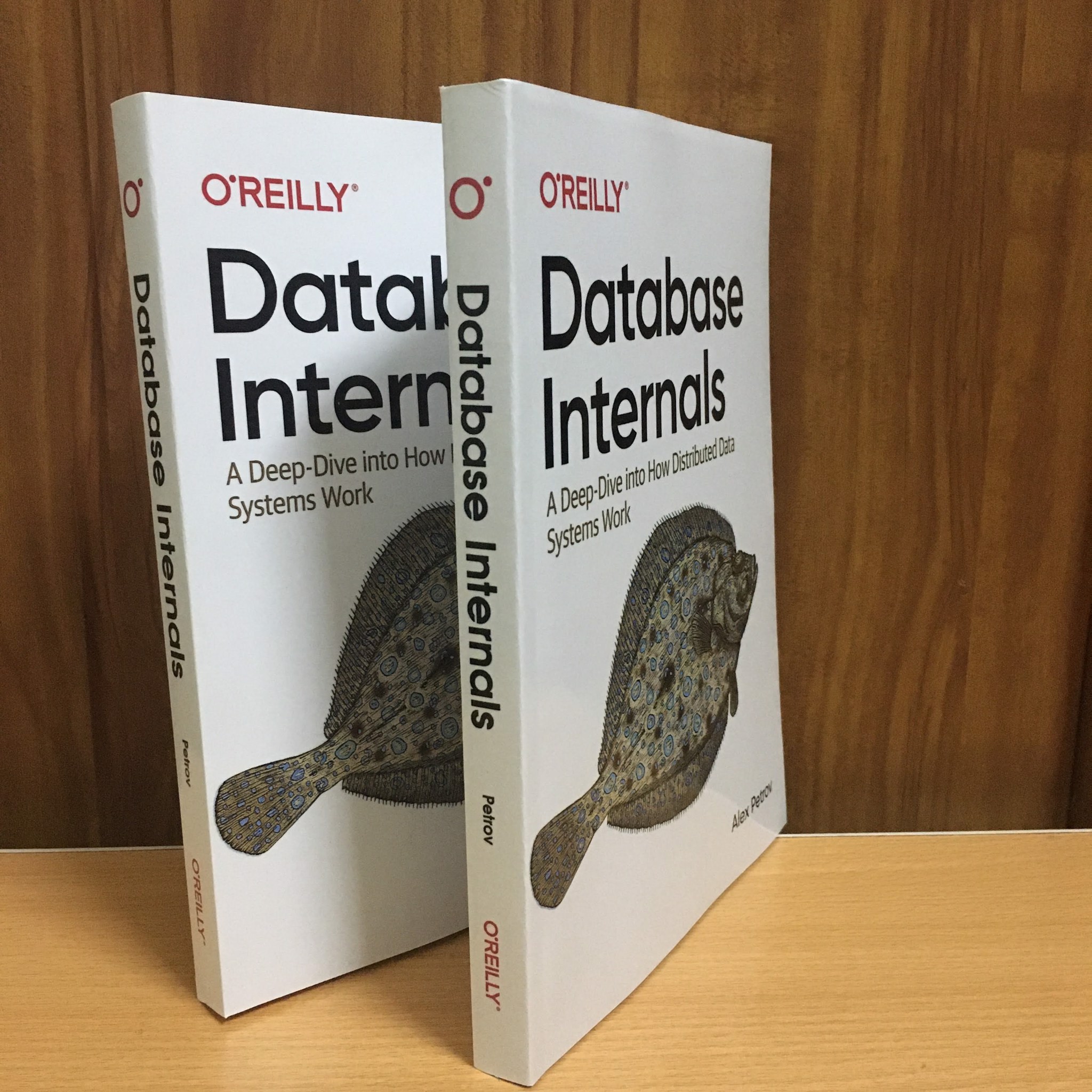 Database Internals: A Deep Dive into How Distributed Data Systems Work