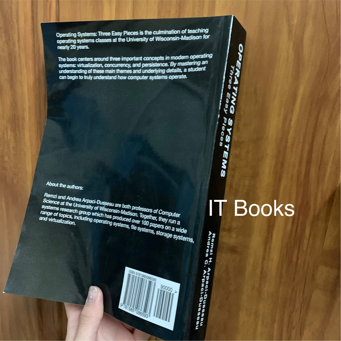 Operating System Three Easy Pieces