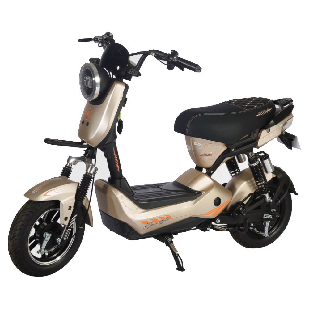 Xe đạp điện Aima G5