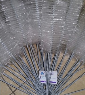 Chổi rửa dụng cụ thí nghiệm, Trung Quốc