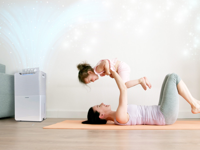 chọn máy hút ẩm hay máy lọc không khí để cải thiện chất lượng không khí trong nhà