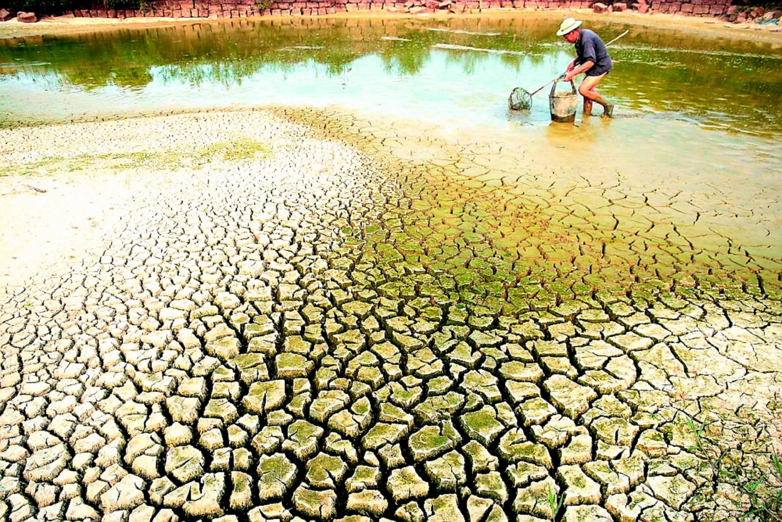 thực trạng xâm nhập mặn tại Việt Nam
