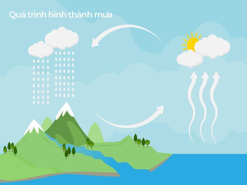 Nước mưa hình thành từ quá trình ngưng tụ hơi nước trong tự nhiên. Nước từ ao hồ, sông suối bốc hơi, ngưng tụ thành mây