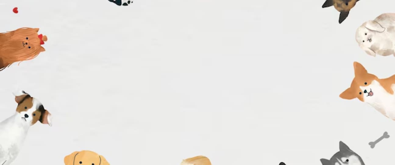 tiktok-background