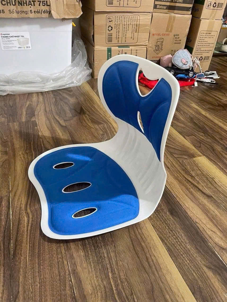 GHẾ TỰA LƯNG CÔNG THÁI HỌC