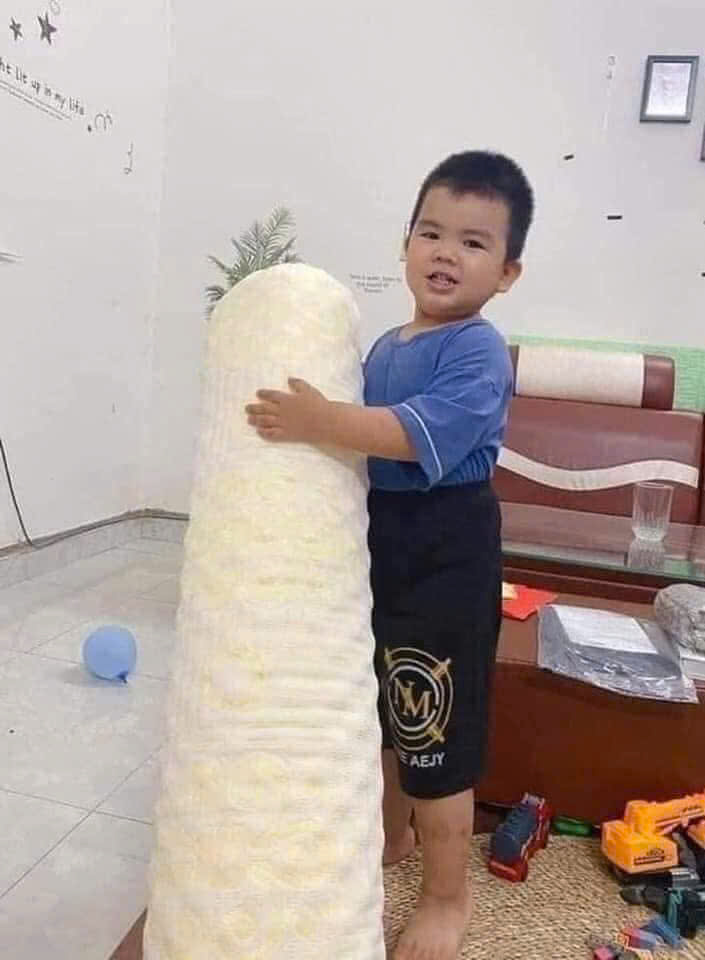 GỐI ÔM ZARA