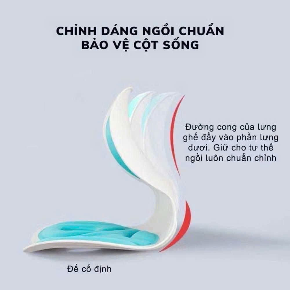 GHẾ TỰA LƯNG CÔNG THÁI HỌC