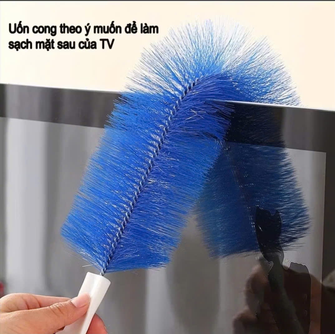 CHỒI LONG CỨNG MÀU XANH