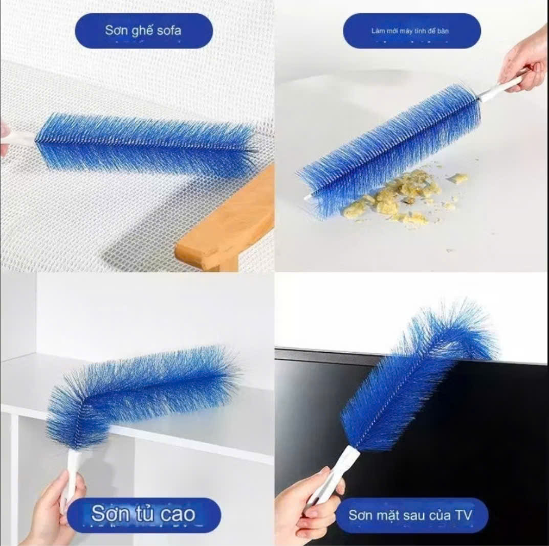 CHỒI LONG CỨNG MÀU XANH