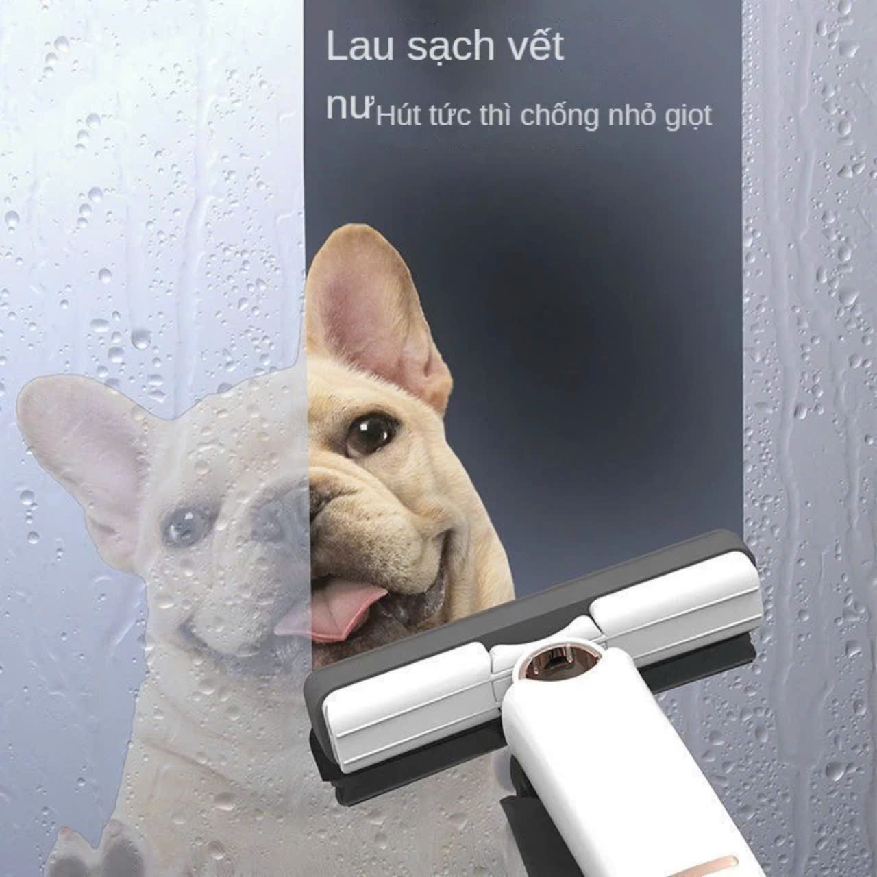 Cây Lau Kính, Lau Bếp Tự Vắt Mini Đa Năng