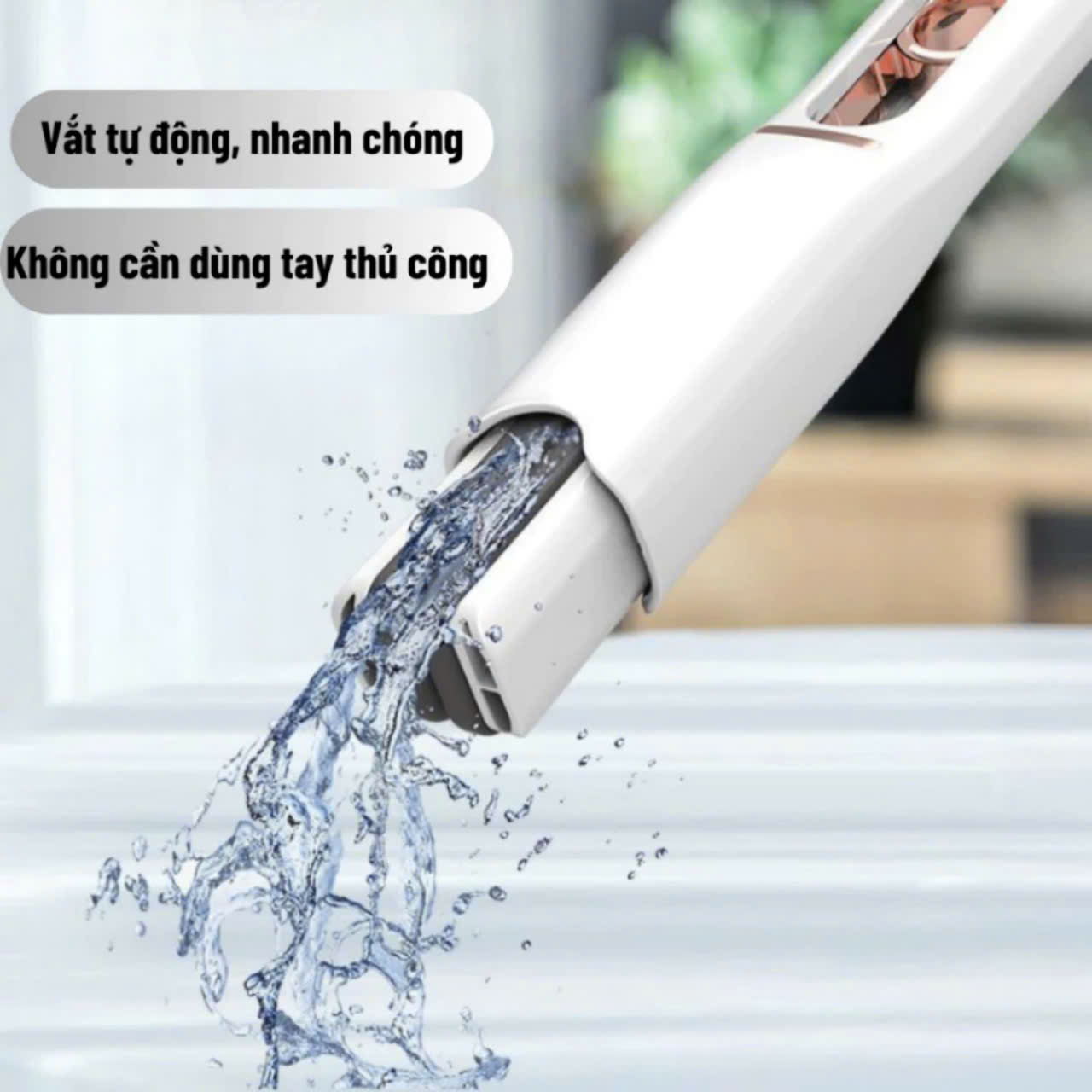 Cây Lau Kính, Lau Bếp Tự Vắt Mini Đa Năng