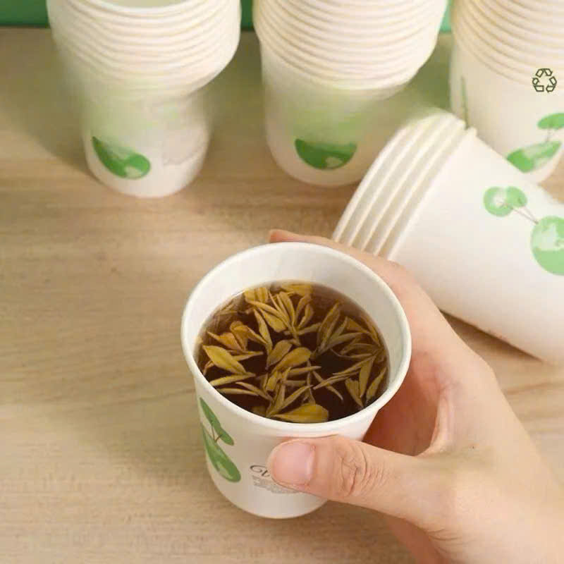 SET 50 cốc giấy gấu trúc