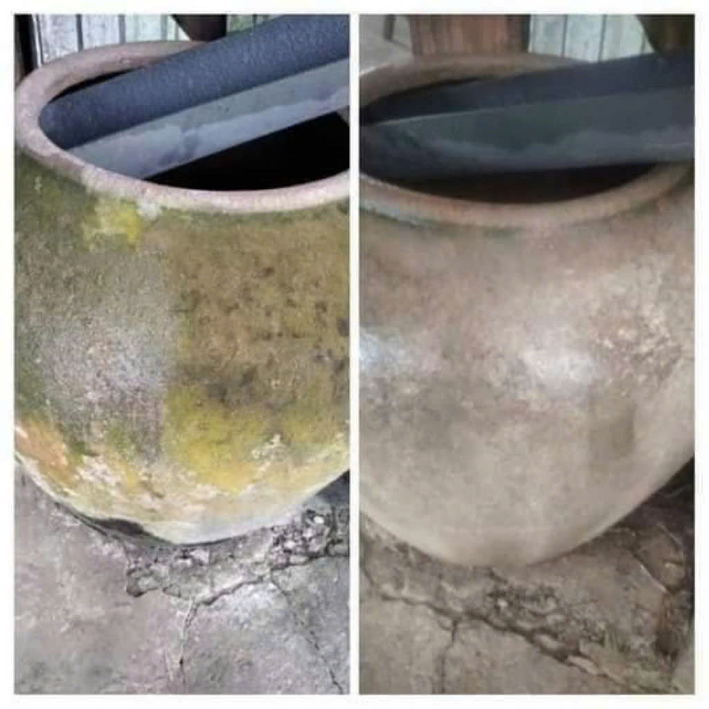 BỘT TẨY RONG RÊU