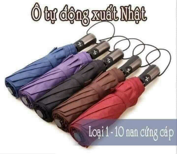 Ô , DÙ TỰ ĐỘNG ĐÓNG MỞ 10 NAN