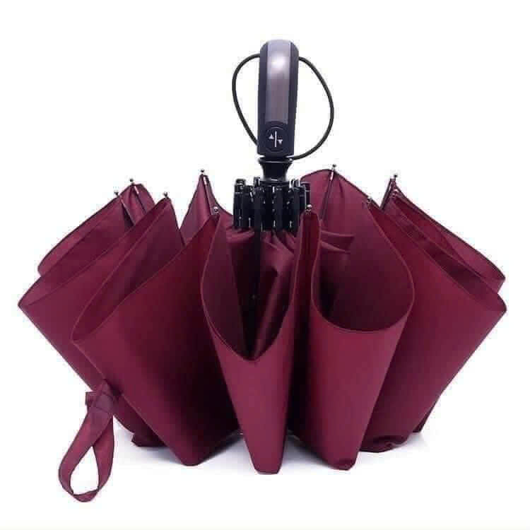 Ô , DÙ TỰ ĐỘNG ĐÓNG MỞ 10 NAN