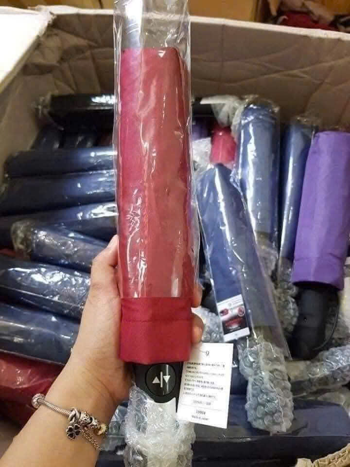 Ô , DÙ TỰ ĐỘNG ĐÓNG MỞ 10 NAN