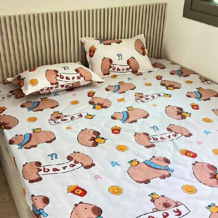 Bộ Ga Gối Poly 3 Món 1m8x2m