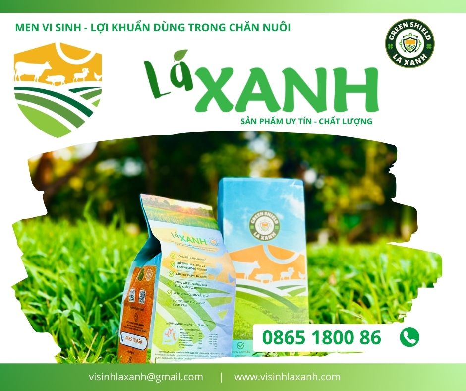 NẤM DIỀU Ở GÀ