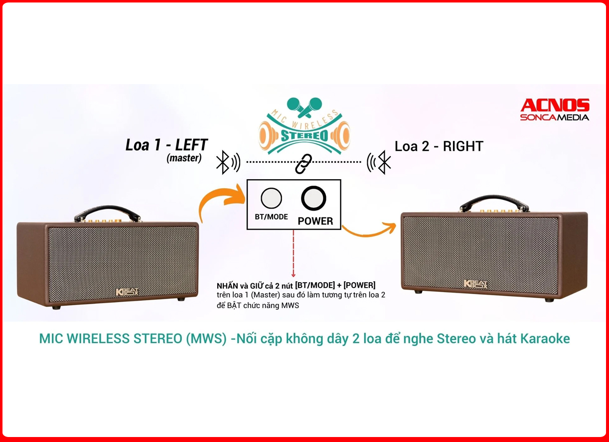Loa ACNOS CS366PLUS - MWS