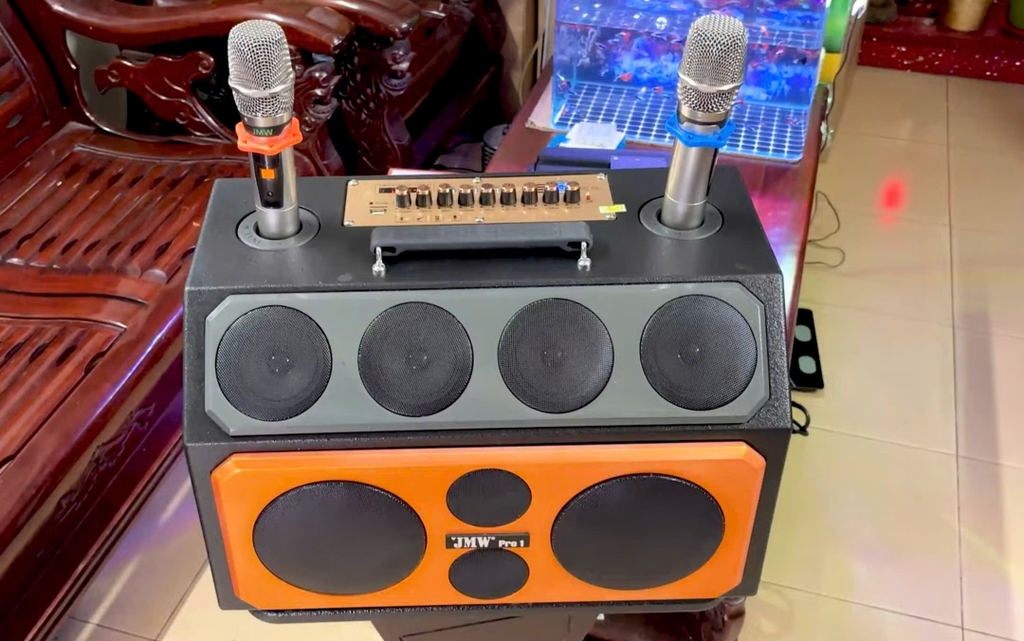 Loa karaoke bluetooth công suất lớn JMW 216 Pro 1