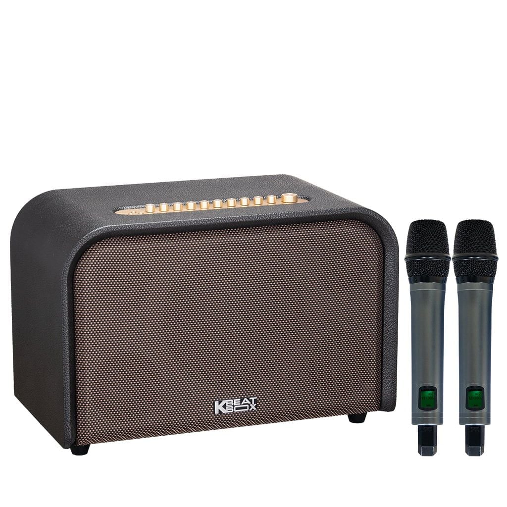 Loa Karaoke SONCAMEDIA ACOUSTIC 3 Compact