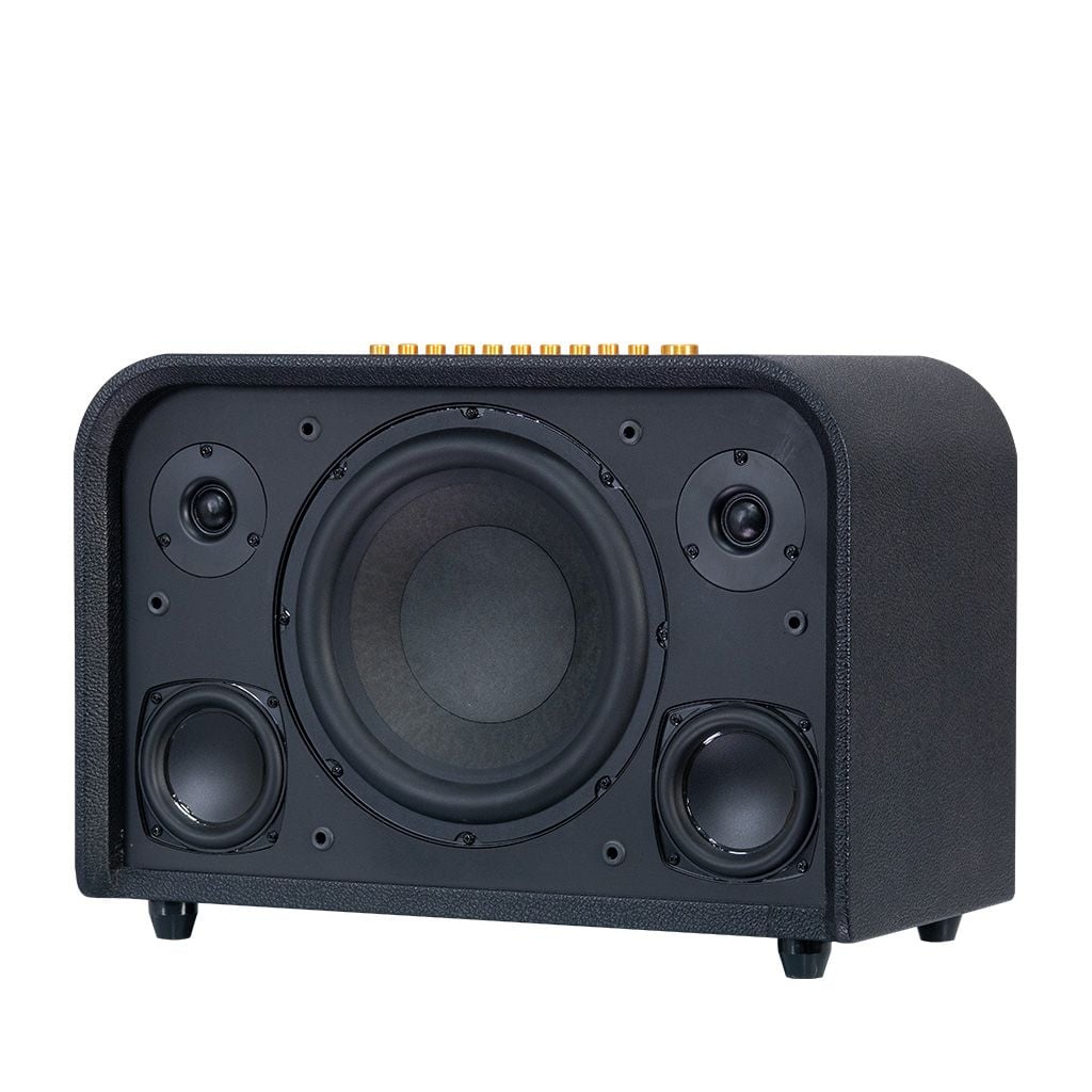 Loa Karaoke Acnos ACOUSTIC 3 V26