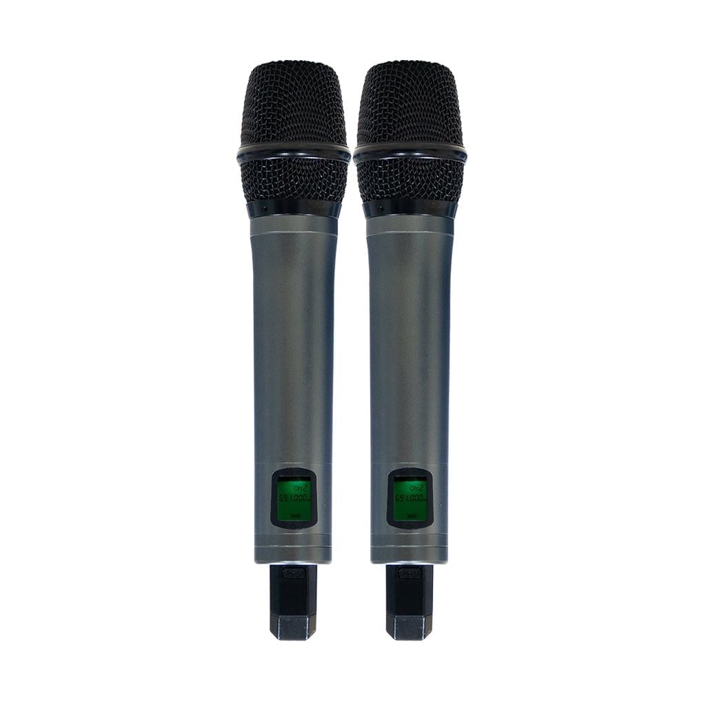 Loa Karaoke ACNOS D'Auris 200