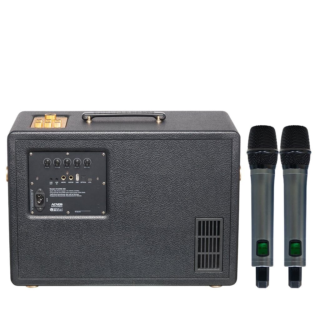 Loa Karaoke ACNOS D'Auris 300