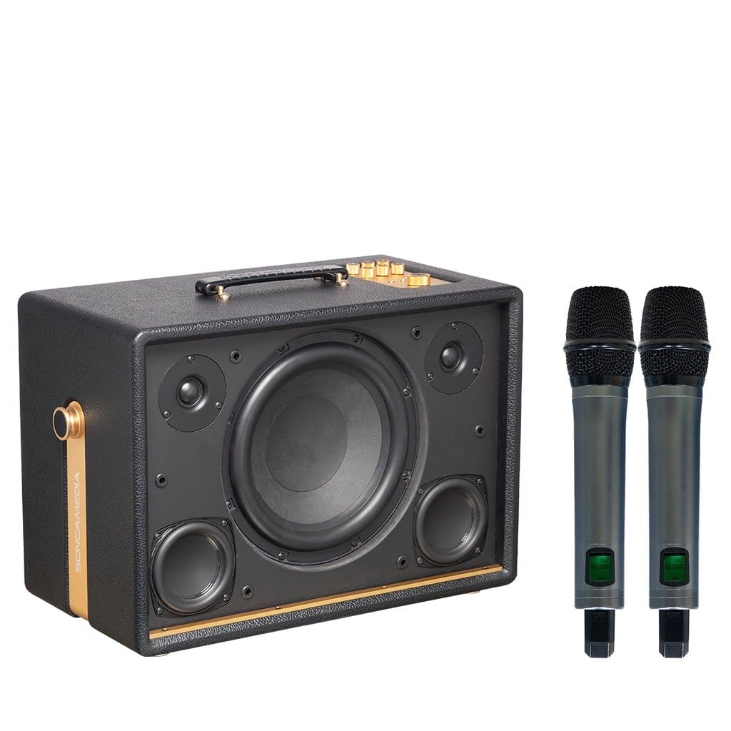 Loa Karaoke ACNOS D'Auris 300