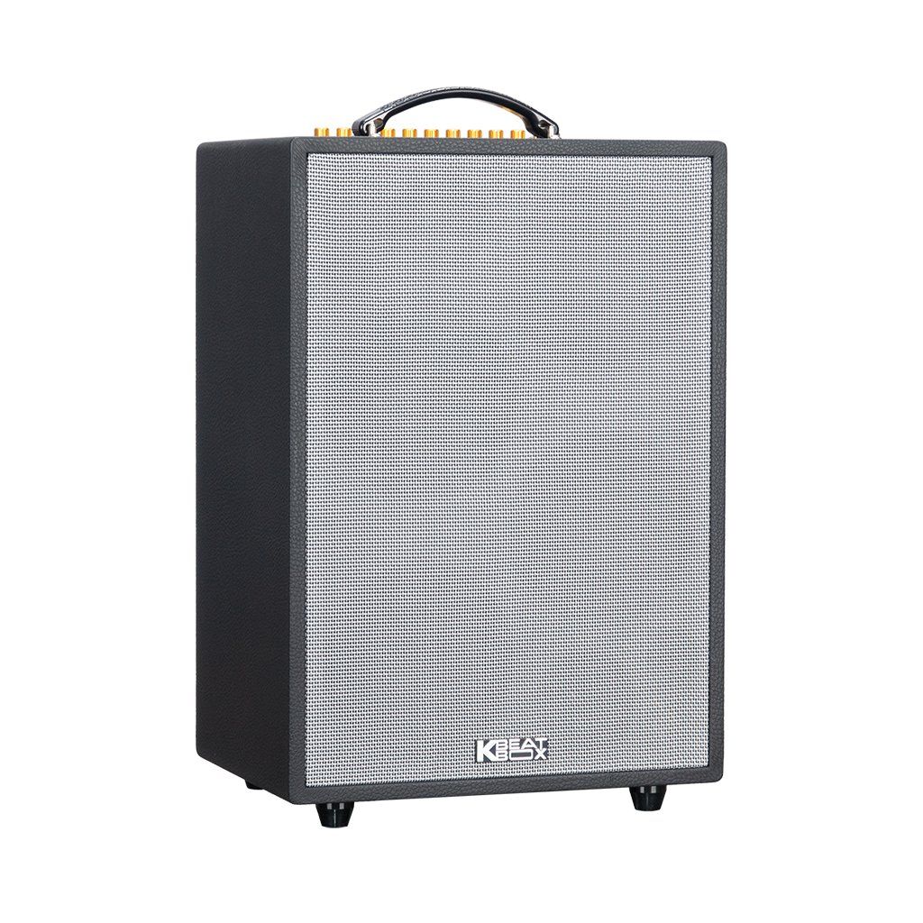 Loa Karaoke SONCAMEDIA ePOP 100