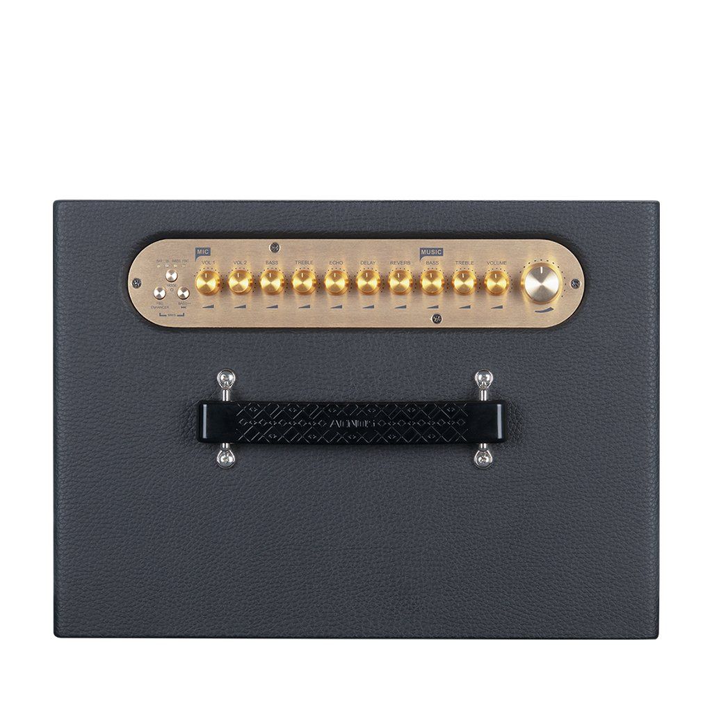 Loa Karaoke SONCAMEDIA ePOP 100