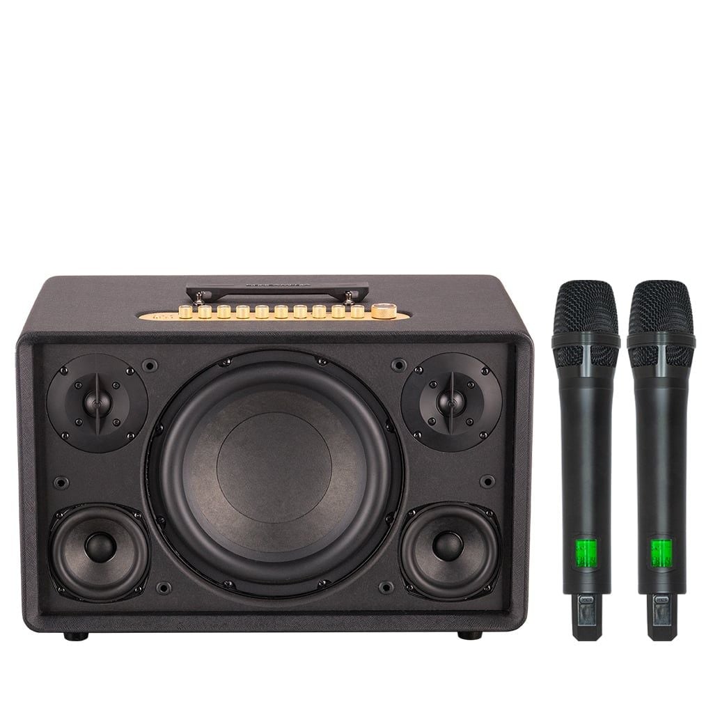 Loa Karaoke ACNOS FLAC 36 ULTIMATE