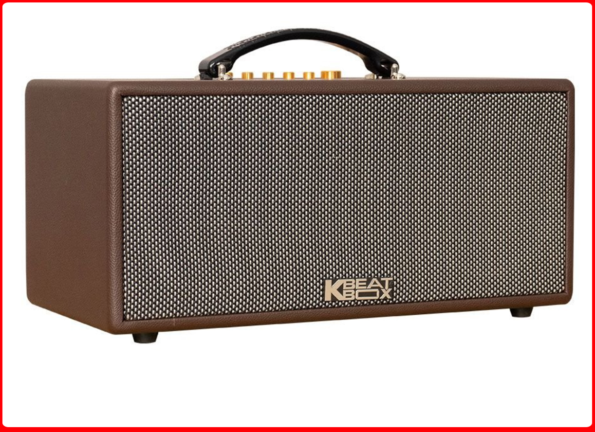 Loa karaoke ACNOS CS366 PLUS