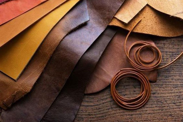 Personal Color là gì?