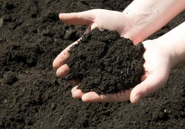 Đất giúp cân bằng năng lượng và thu hút tài lộc