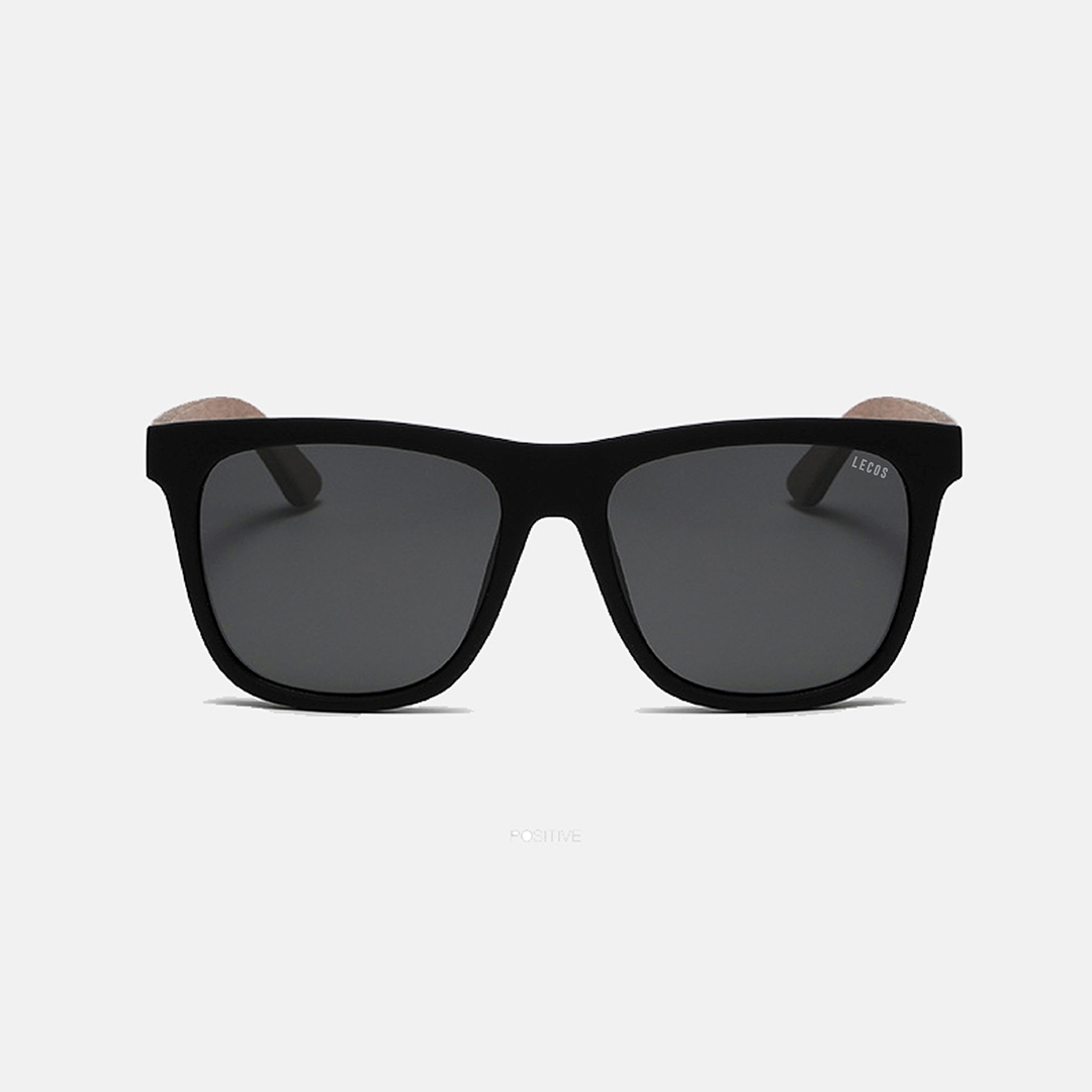 Kính mắt nam cao cấp LECOS - LK26