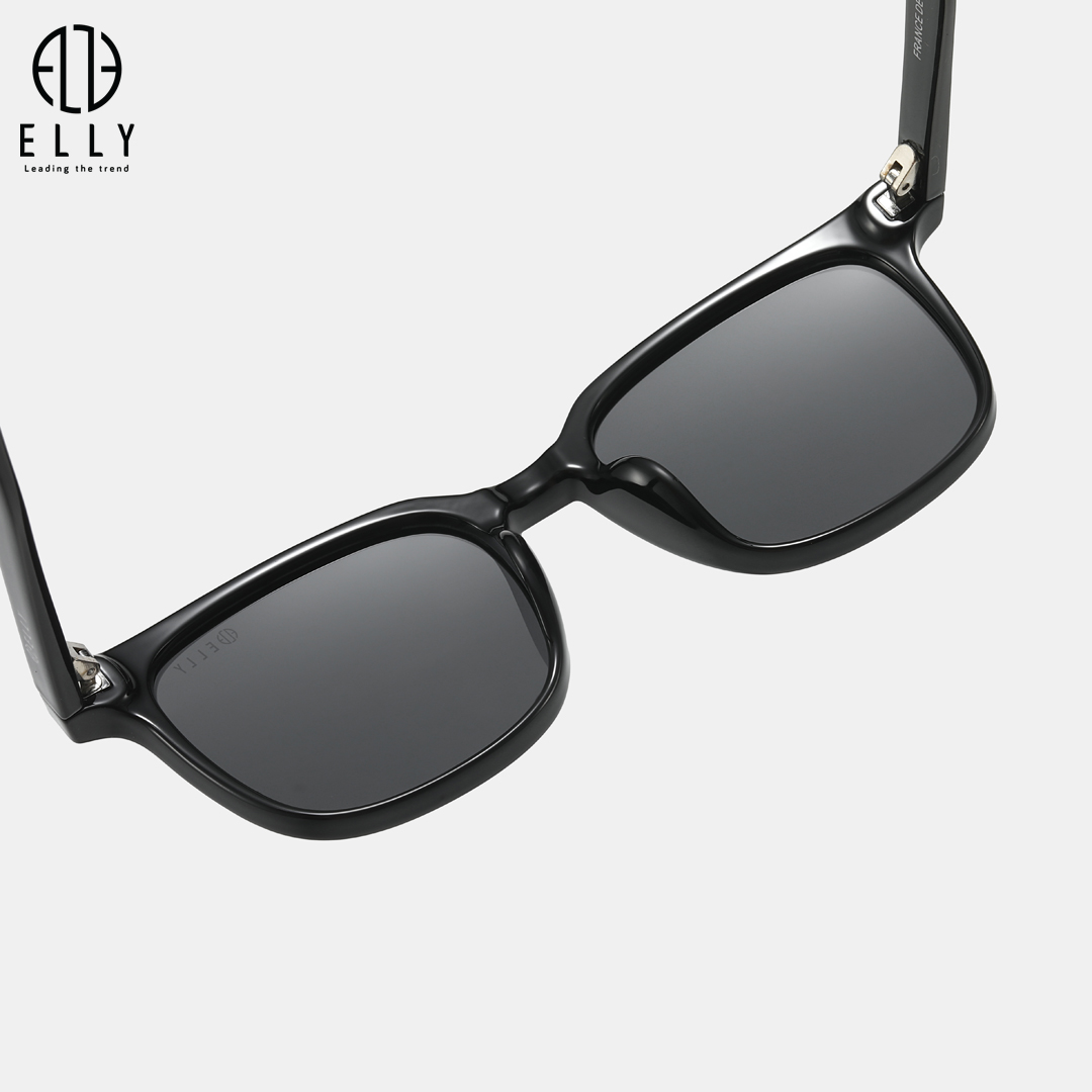 Kính mắt nữ cao cấp ELLY - EK195