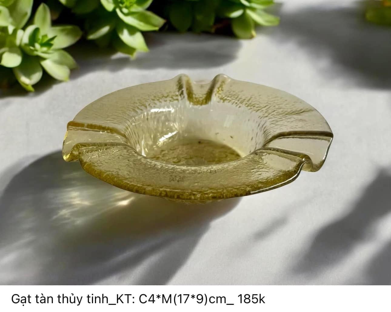 Gạt tàn thuỷ tinh